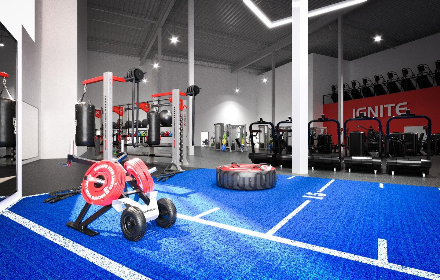 Students’ Needs and Planning for Their University Gym: Building a Space That Truly Fits